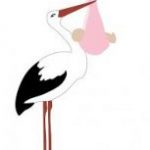 Llegenda de la cigonya