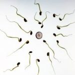 Semen