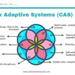 characteristics of complex adaptive systems CAS diagram