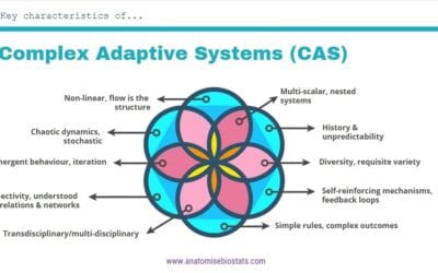 characteristics of complex adaptive systems CAS diagram