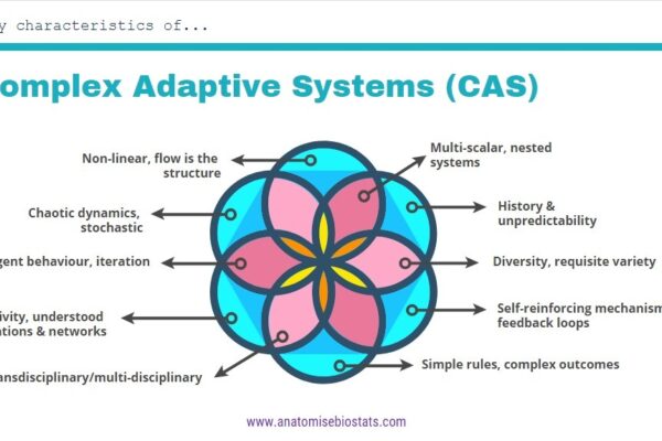 characteristics of complex adaptive systems CAS diagram
