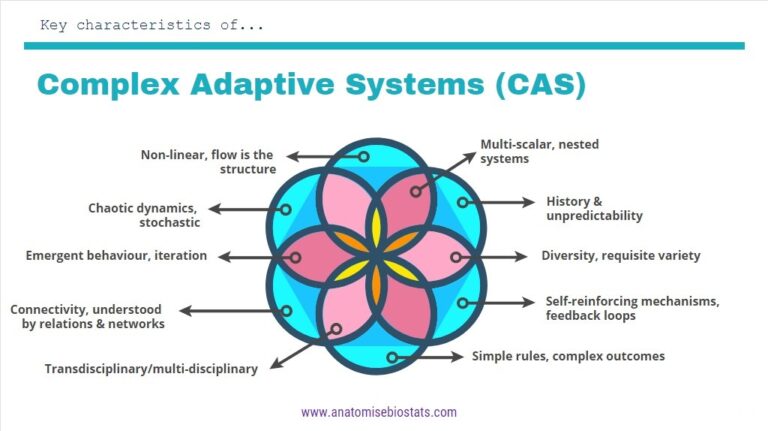 characteristics of complex adaptive systems CAS diagram