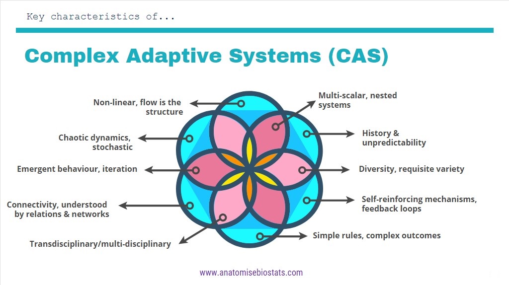 characteristics of complex adaptive systems CAS diagram