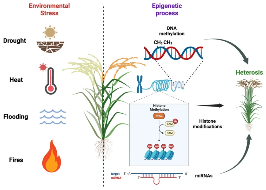 epigenomes 07 00014 g002